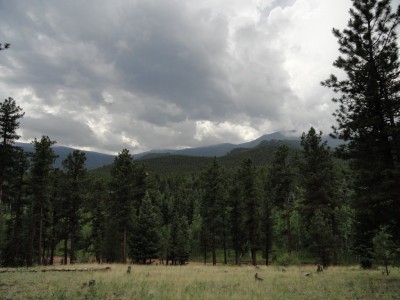 Afternoon storms near the beginning of Segment 4.