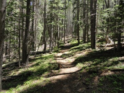 Climb on Segment 4.