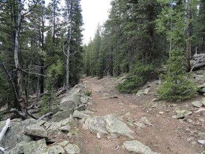 Rougher old jeep trail.