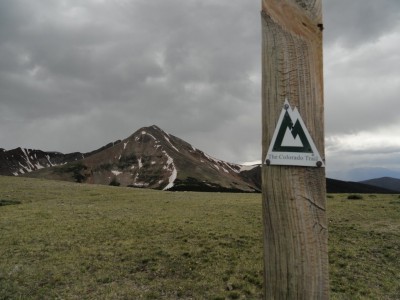 Mt Guyot.