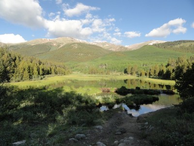 Beaver pond near the trailhead.
