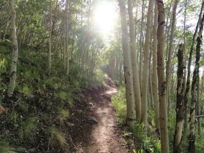 Typical trail section at lower elevations.